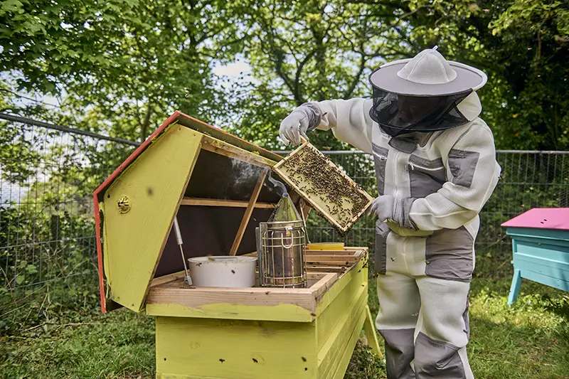 Cuprinol Garden Shades is non-toxic to bees